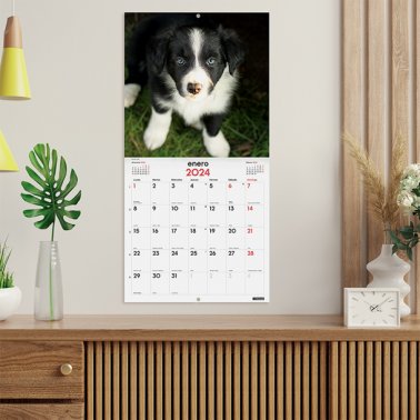 Calendario Finocam 2024 de Pared  Cachorros