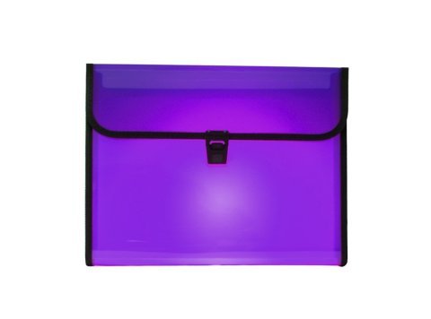 Carpeta Clasificadora Plus Office Broche A4 Violeta Traslúcida